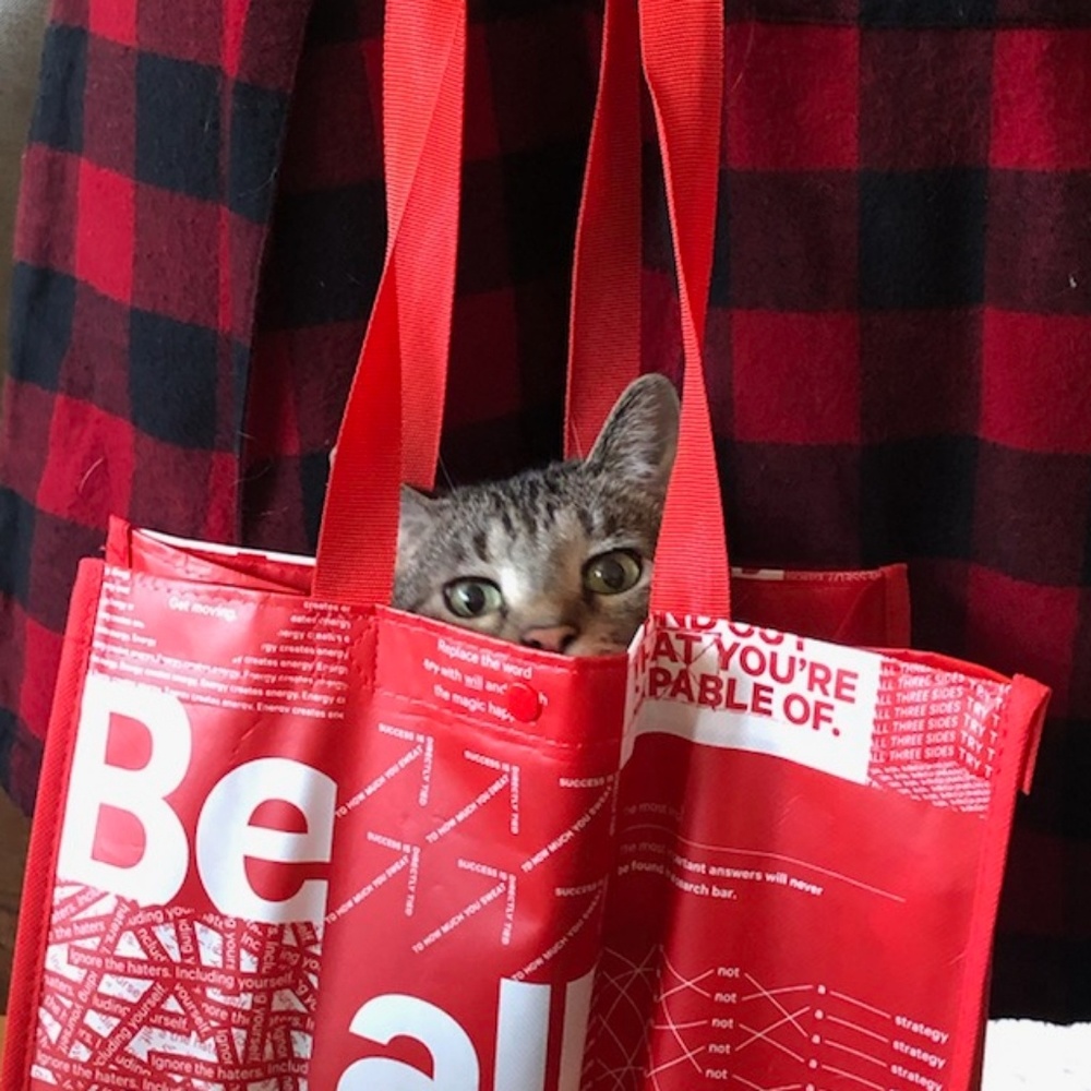 Meet your Posher, Liam